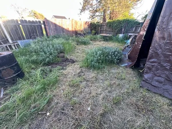 a view of a backyard