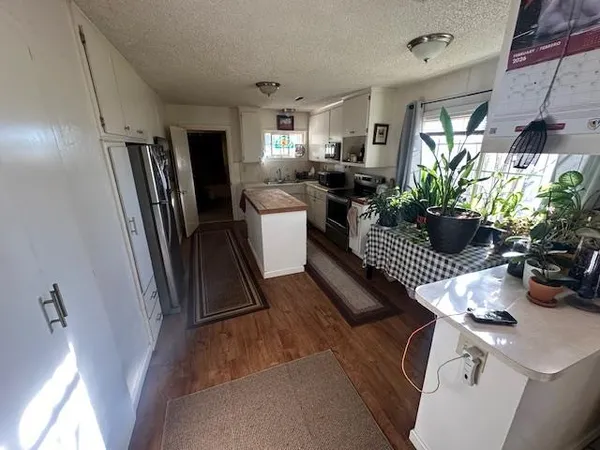 a kitchen with a sink appliances and potted plant