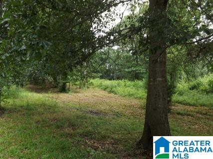 0 Perseverance Lane Odenville, AL 35120 - Photo 6 of 13