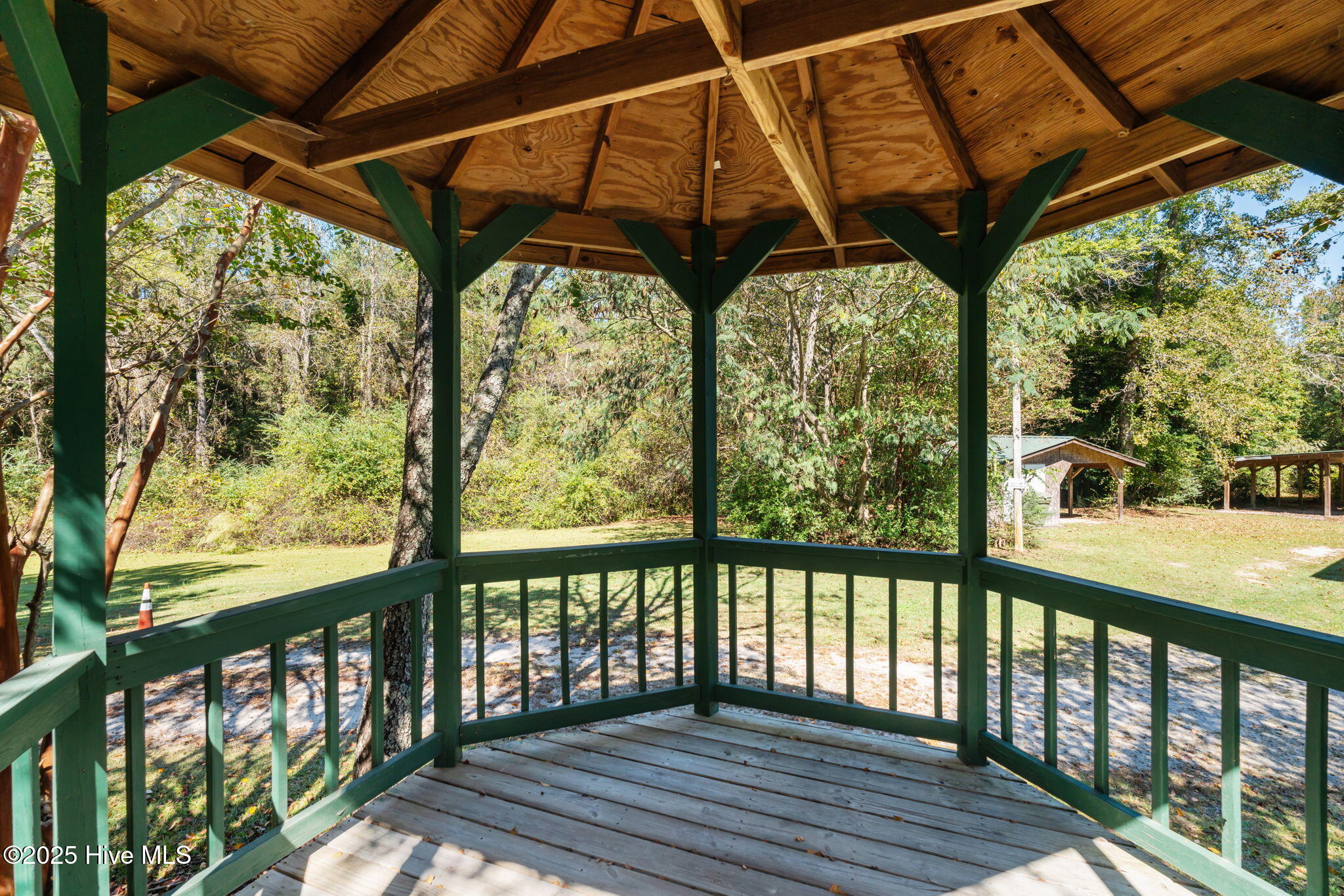 1430 Cypress Church Road Cameron, NC 28326 - Photo 15 of 54 46-web-or-mls-DSC01840