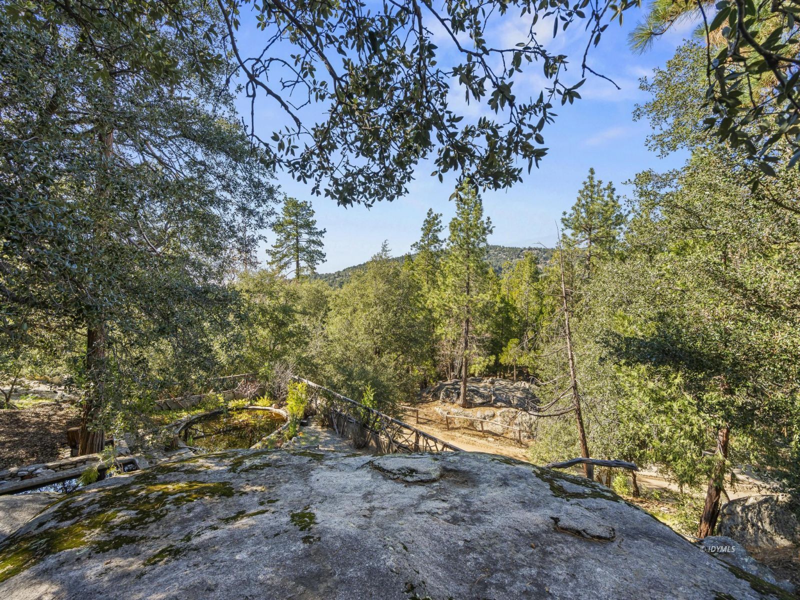 53241 Middleridge Drive Idyllwild, CA 92549 - Photo 43 of 48 a view of a yard with large trees