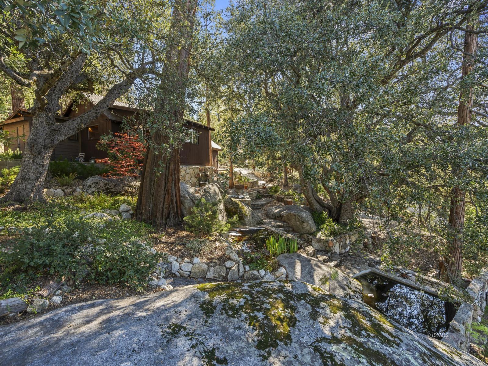 53241 Middleridge Drive Idyllwild, CA 92549 - Photo 44 of 48 a backyard of a house with lots of green space