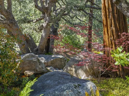 $440,000 | 53241 Middleridge Drive, Idyllwild, CA 92549