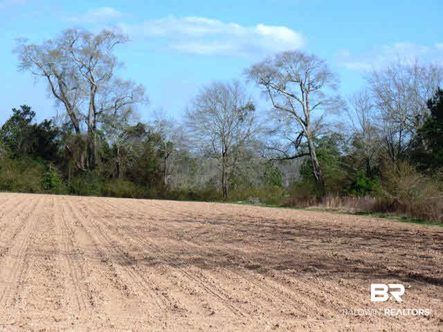 1800 Pouncey Road Atmore, AL 36502 - Photo 1 of 1