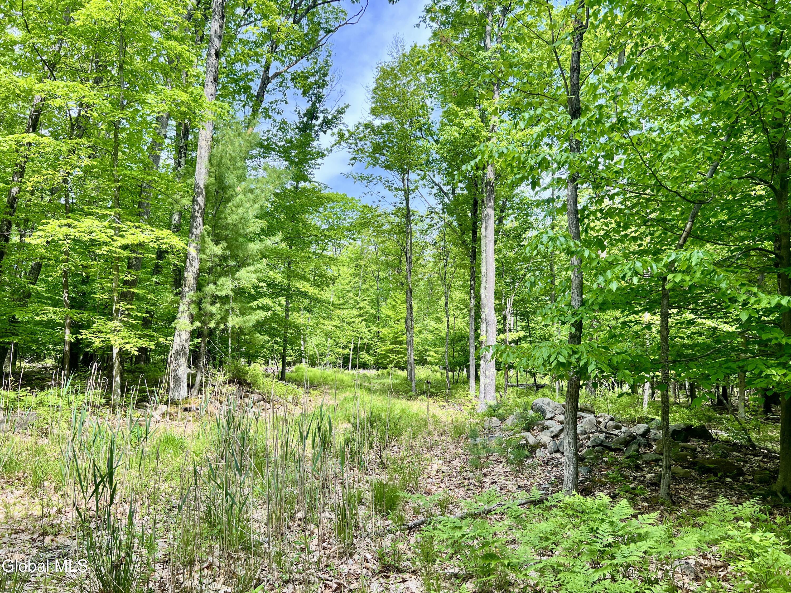 25 Catlin Road Poestenkill, NY 12018 - Photo 8 of 14 IMG_8987