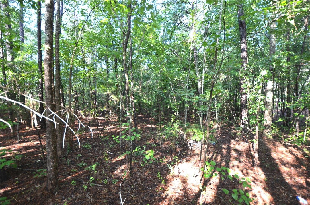 Lot 2 Oak Bowery Road Opelika, AL 36801 - Photo 7 of 10 Gallery Image 7