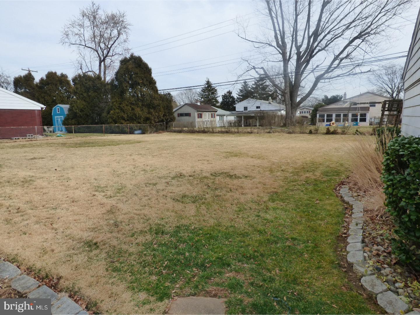 1347 Thomson Road Roslyn, PA 19001 - Photo 17 of 17 Back Yard
