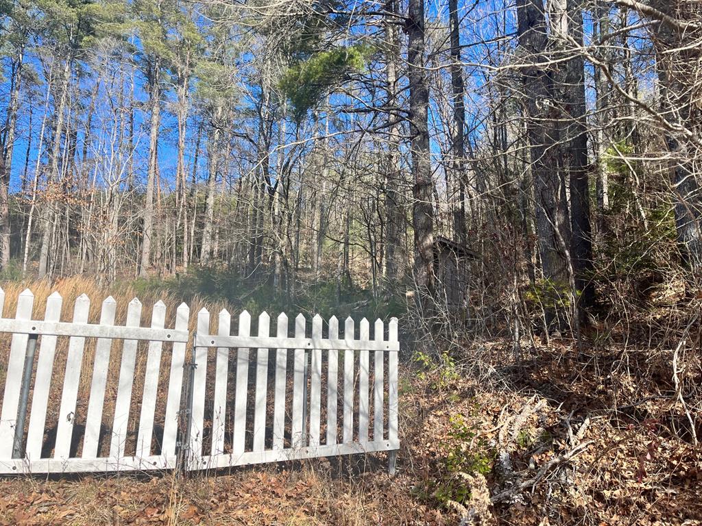 Lot 1-2 Mission Dam Road Hayesville, NC 28904 - Photo 1 of 11 Main View