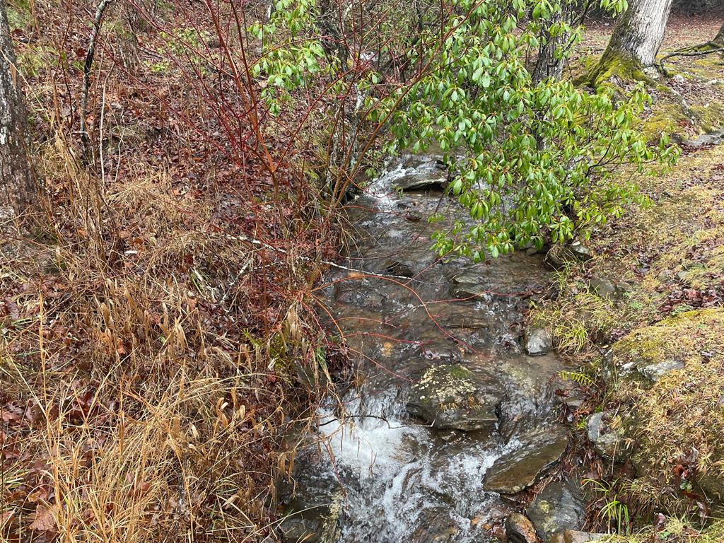 Lot 1-2 Mission Dam Road Hayesville, NC 28904 - Photo 11 of 11 Creek on border of lot 2