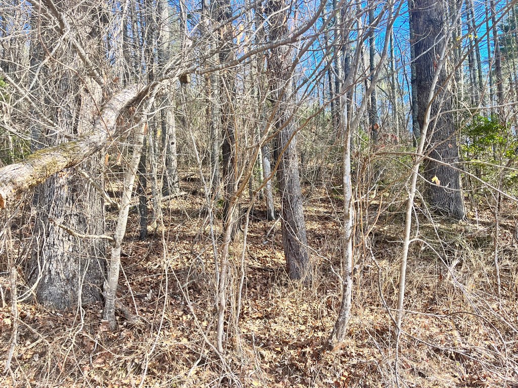Lot 1-2 Mission Dam Road Hayesville, NC 28904 - Photo 2 of 11 Gallery Image 2