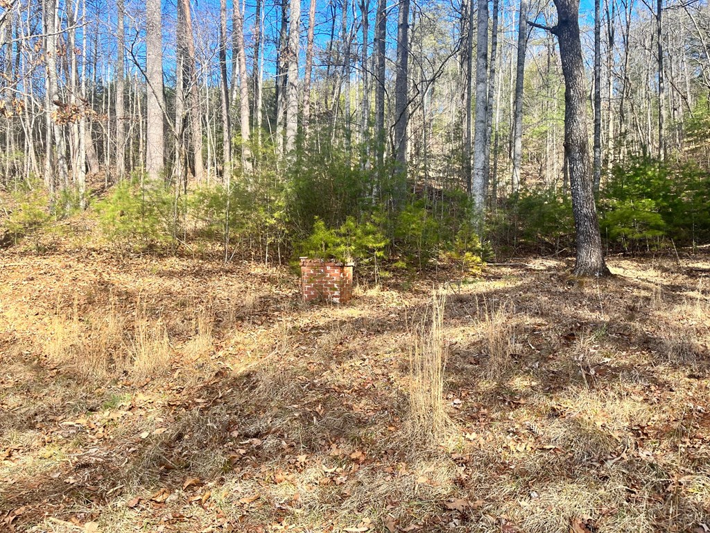 Lot 1-2 Mission Dam Road Hayesville, NC 28904 - Photo 5 of 11 Gallery Image 5