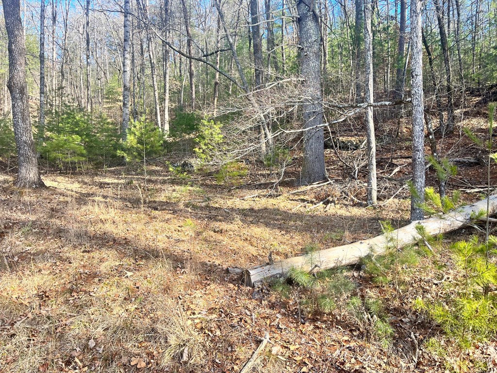 Lot 1-2 Mission Dam Road Hayesville, NC 28904 - Photo 6 of 11 Gallery Image 6