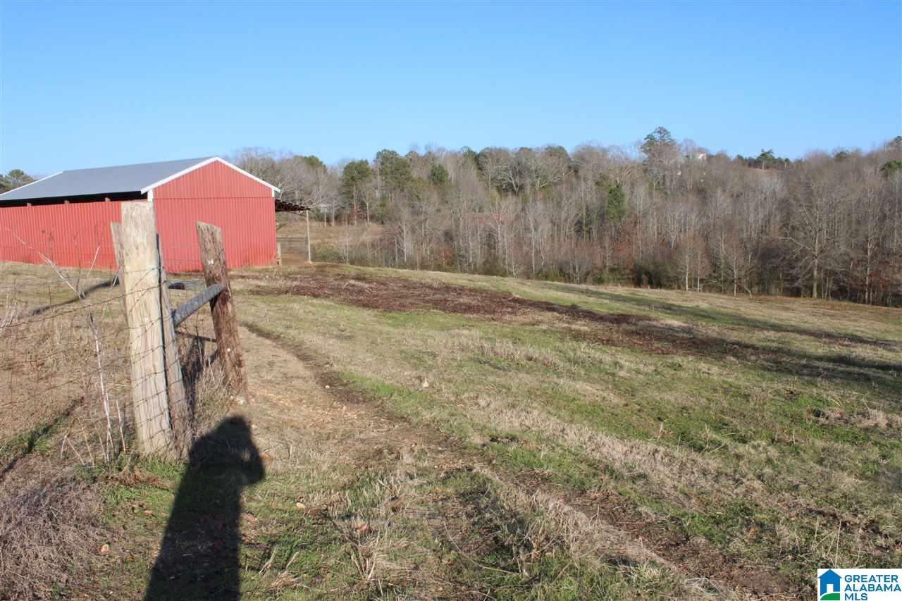 3601 Brookside Road Brilliant, AL 35548 - Photo 23 of 33