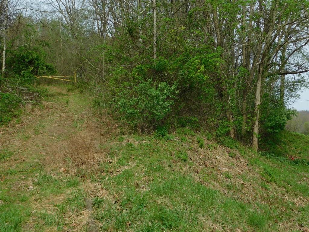 - Alberts Road Ruffs Dale, PA 15679 - Photo 12 of 15