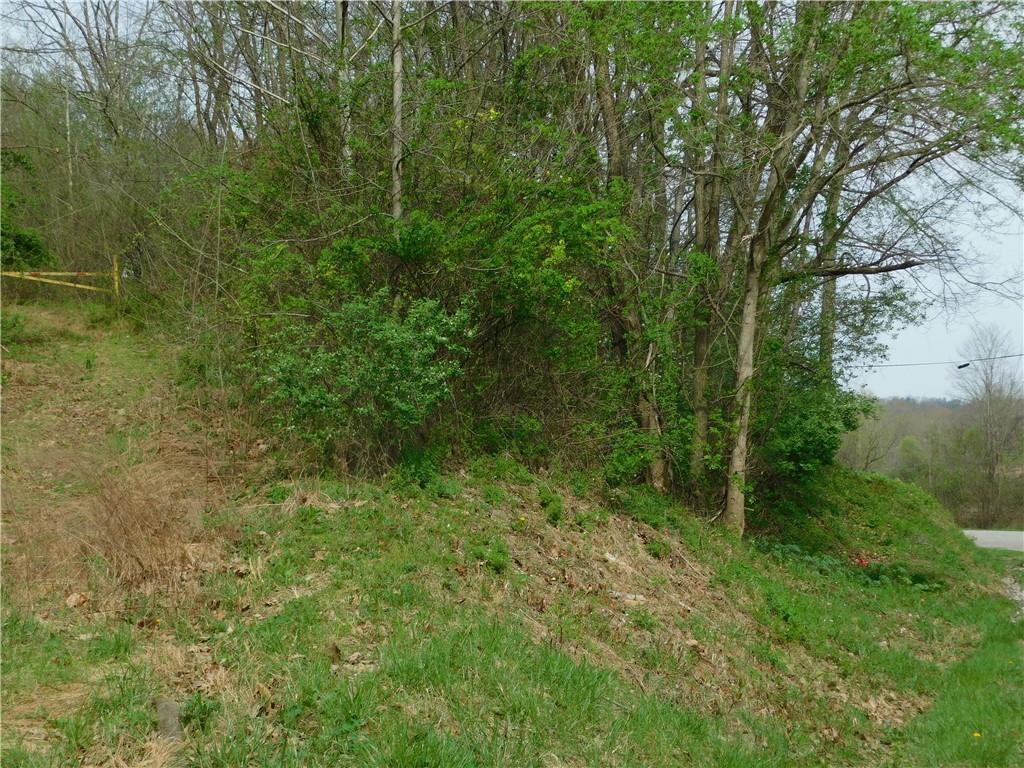 - Alberts Road Ruffs Dale, PA 15679 - Photo 13 of 15