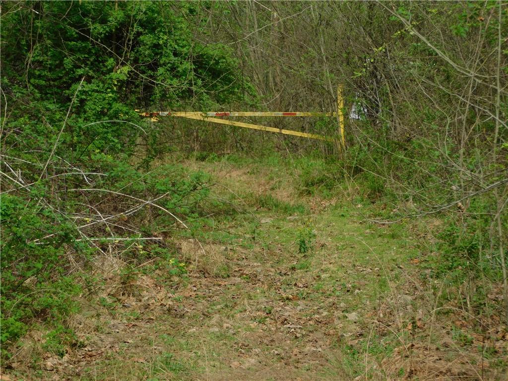 - Alberts Road Ruffs Dale, PA 15679 - Photo 14 of 15