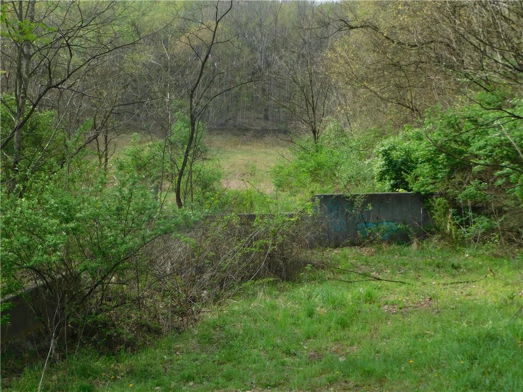 - Alberts Road Ruffs Dale, PA 15679 - Photo 6 of 15