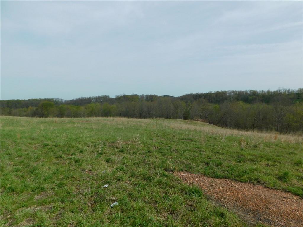 - Alberts Road Ruffs Dale, PA 15679 - Photo 8 of 15