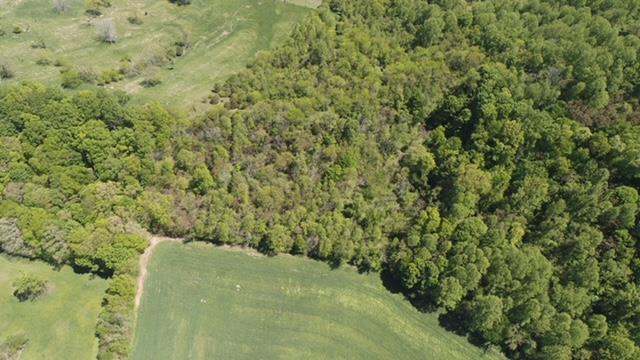 Tbd Countiss Road, Unit 6 & 96 Abingdon, VA 24210 - Photo 23 of 33 Gallery Image 23