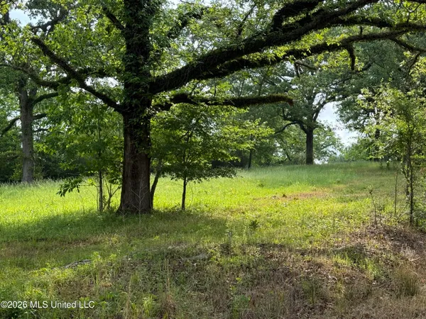 $1,336,000 | Scales Road, Morton, MS 39117