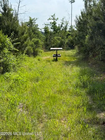 $1,336,000 | Scales Road, Morton, MS 39117