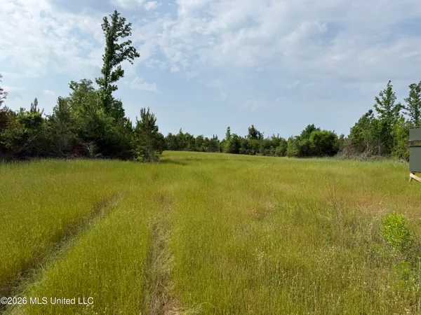 $1,336,000 | Scales Road, Morton, MS 39117