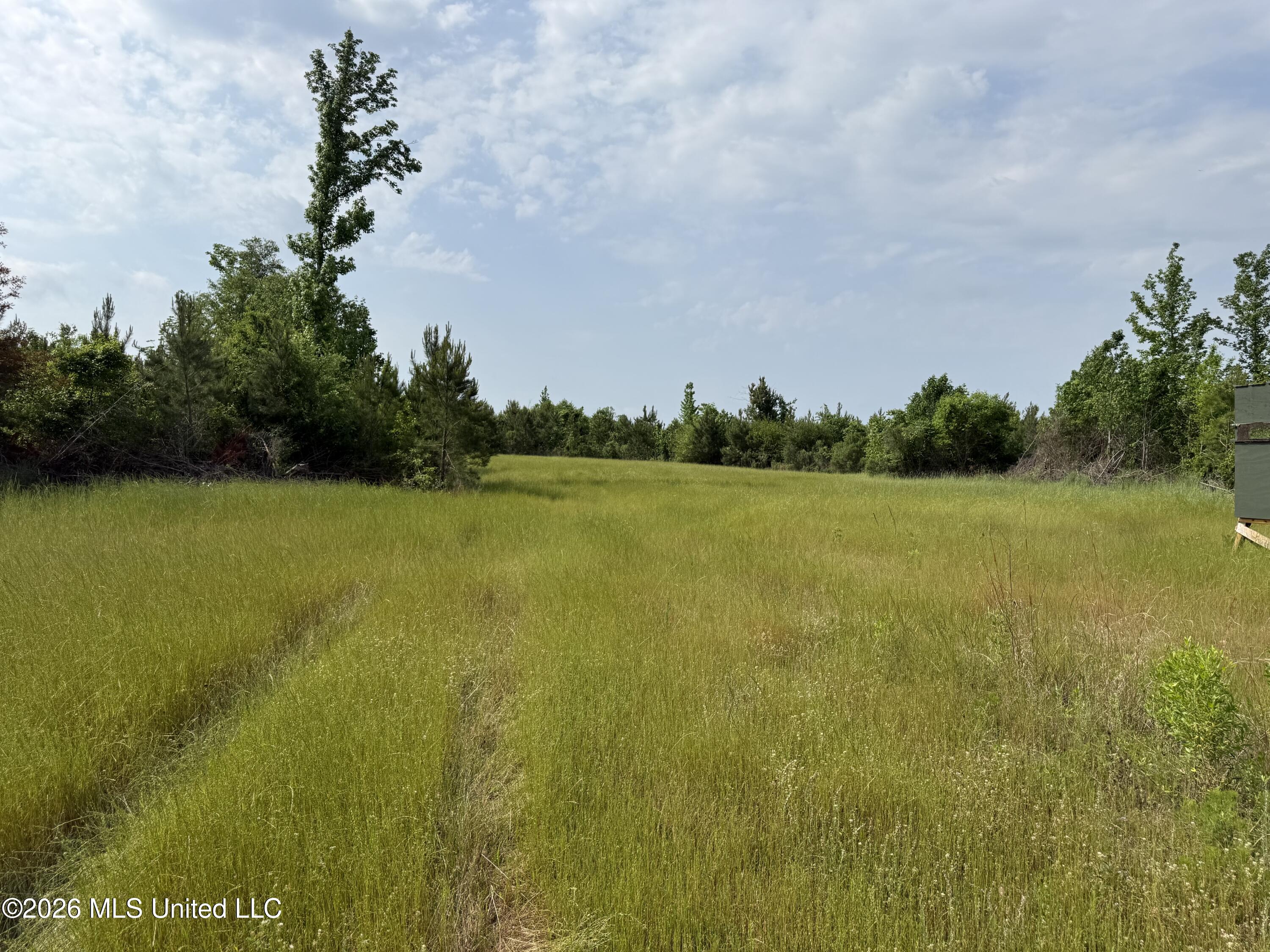 Scales Road Morton, MS 39117 - Photo 12 of 31 IMG_4646
