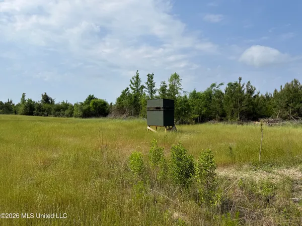 $1,336,000 | Scales Road, Morton, MS 39117
