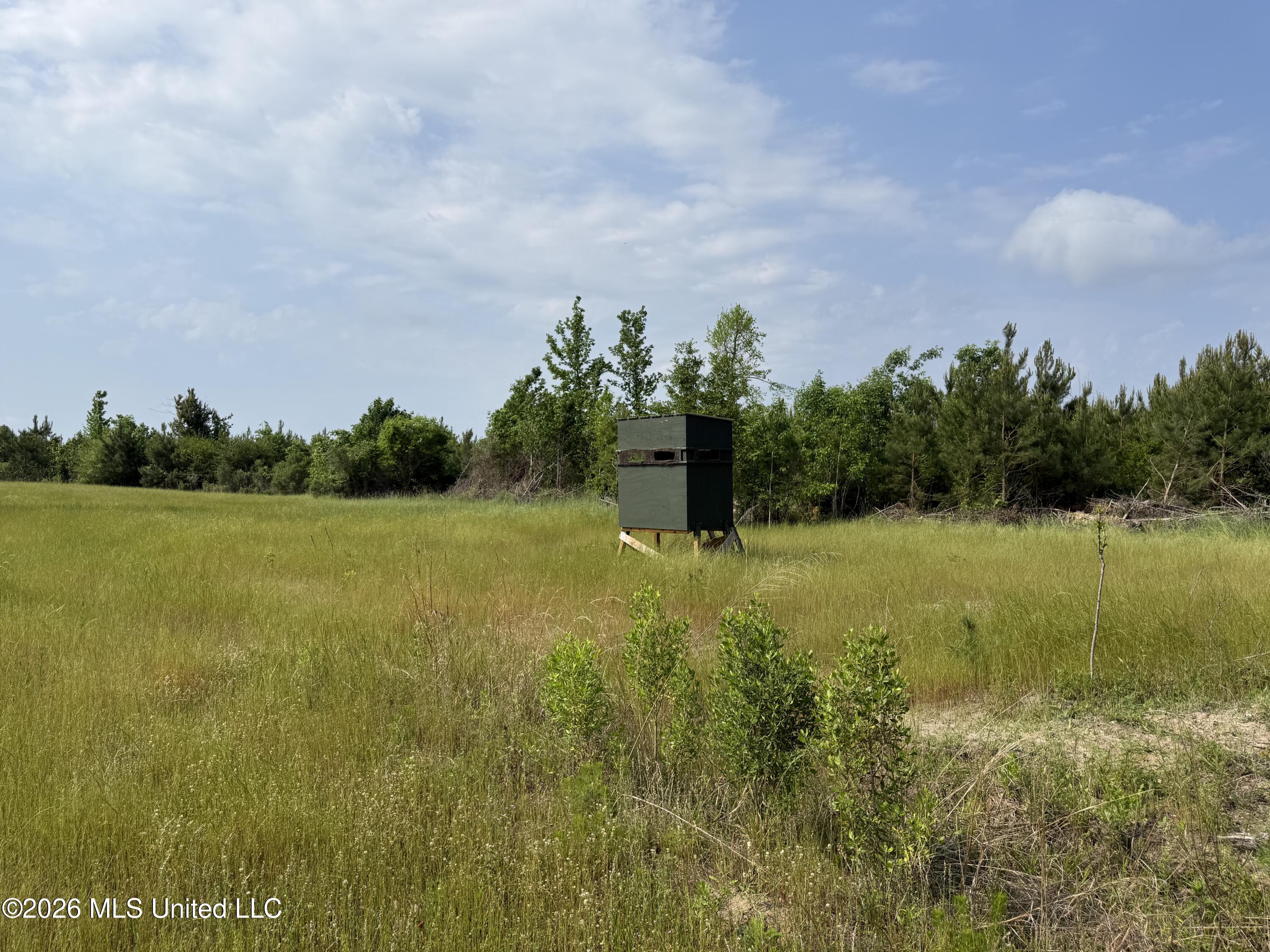 Scales Road Morton, MS 39117 - Photo 13 of 31 IMG_4647
