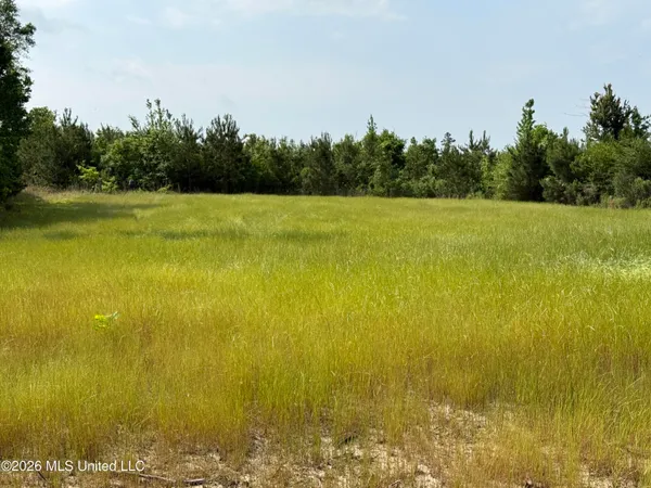 $1,336,000 | Scales Road, Morton, MS 39117