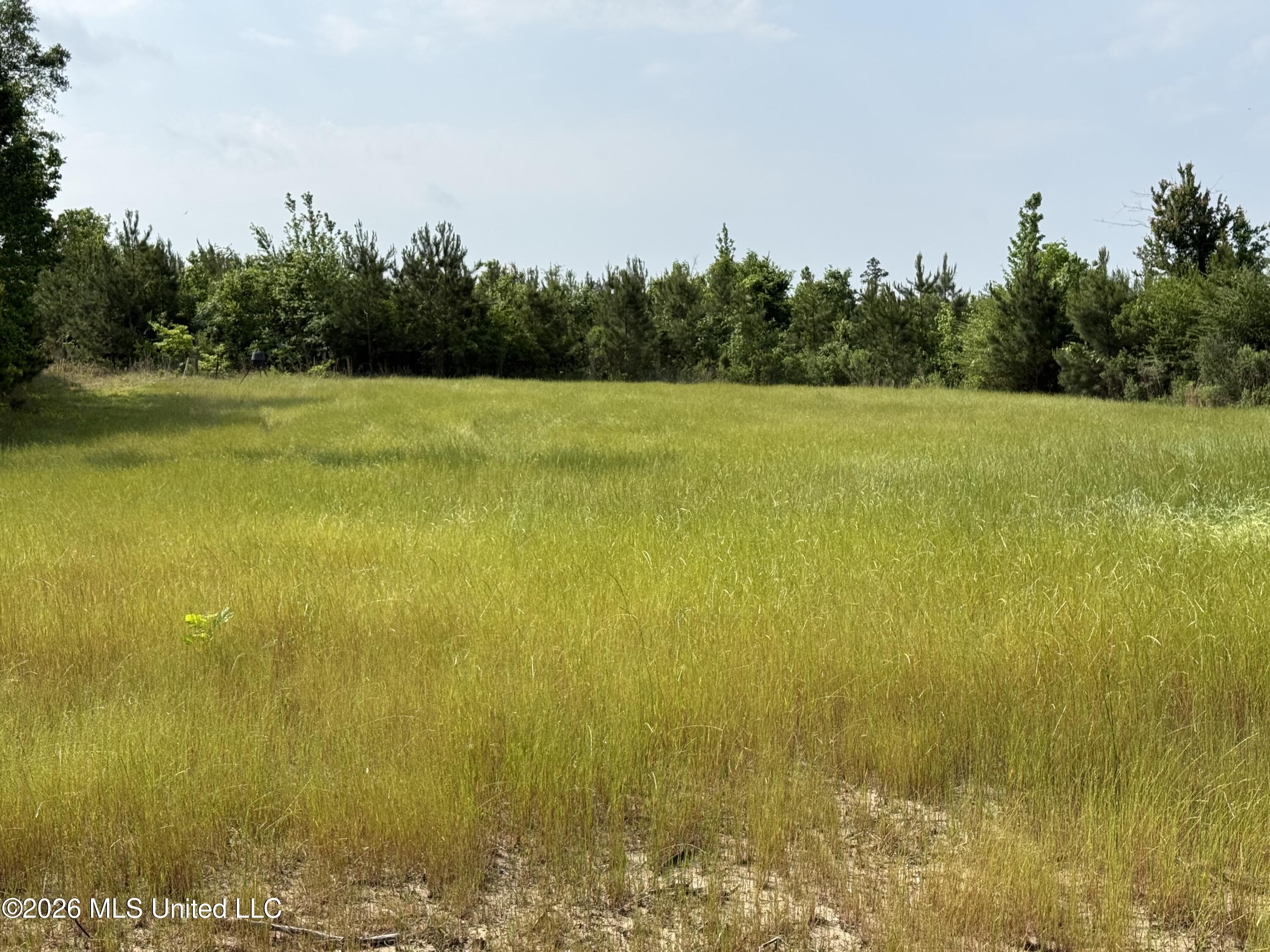 Scales Road Morton, MS 39117 - Photo 14 of 31 IMG_4650