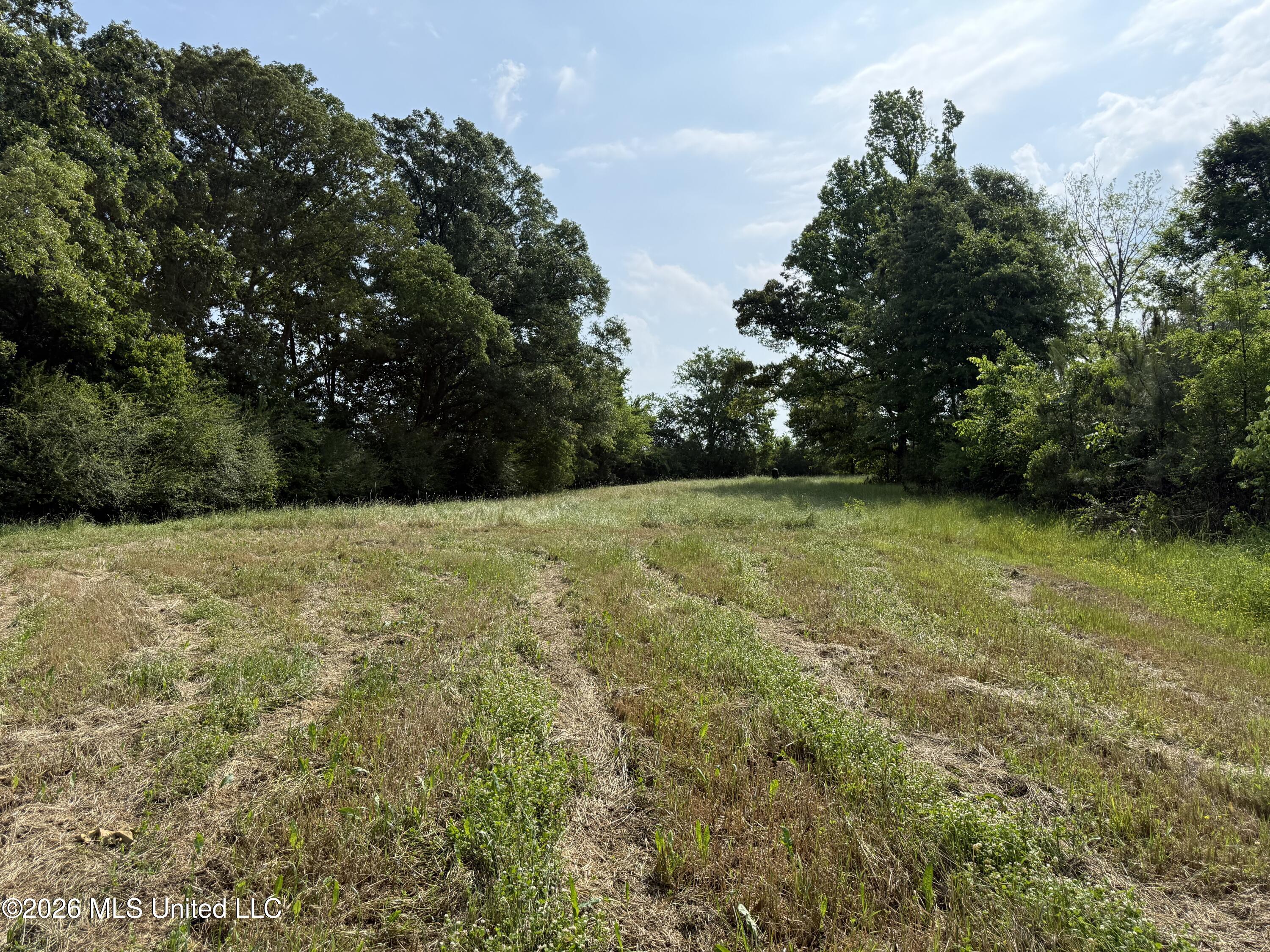 Scales Road Morton, MS 39117 - Photo 16 of 31 IMG_4657