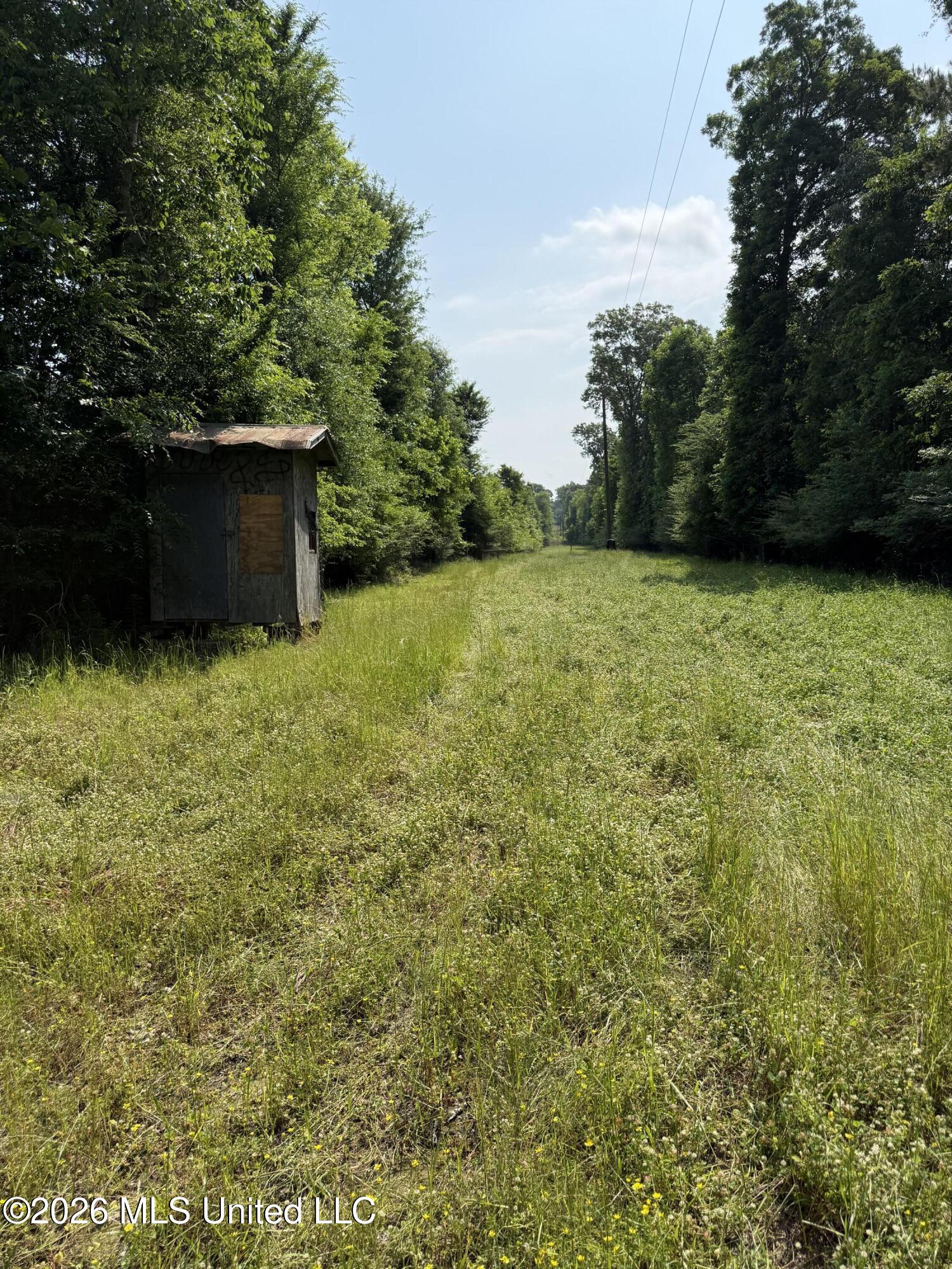Scales Road Morton, MS 39117 - Photo 17 of 31 IMG_4660