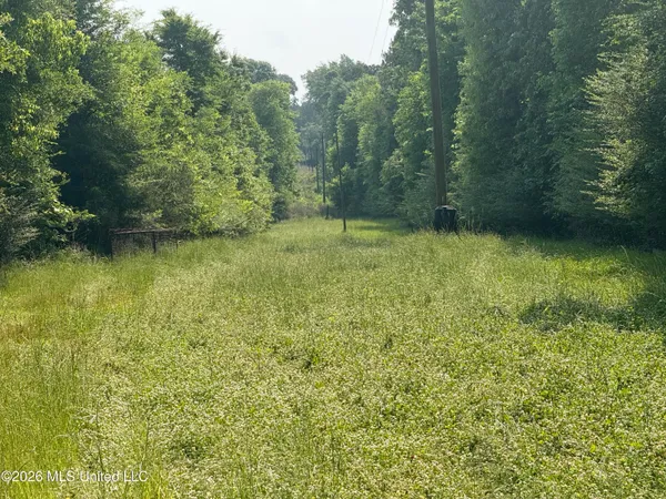 $1,336,000 | Scales Road, Morton, MS 39117