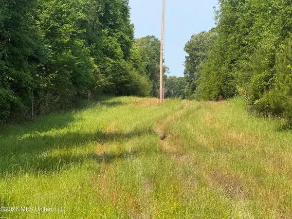 $1,336,000 | Scales Road, Morton, MS 39117