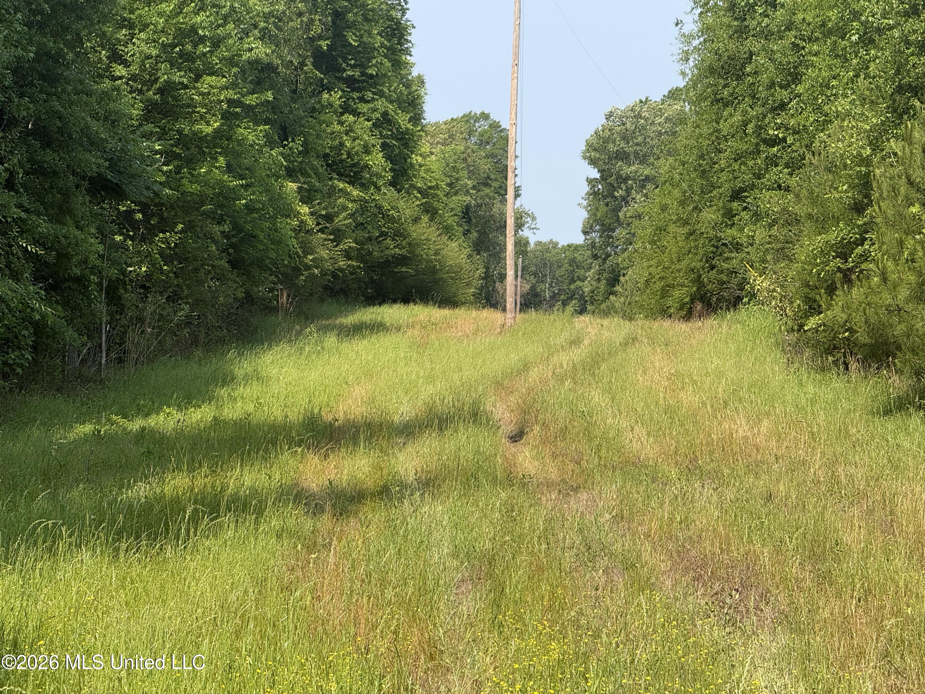 Scales Road Morton, MS 39117 - Photo 19 of 31 IMG_4662