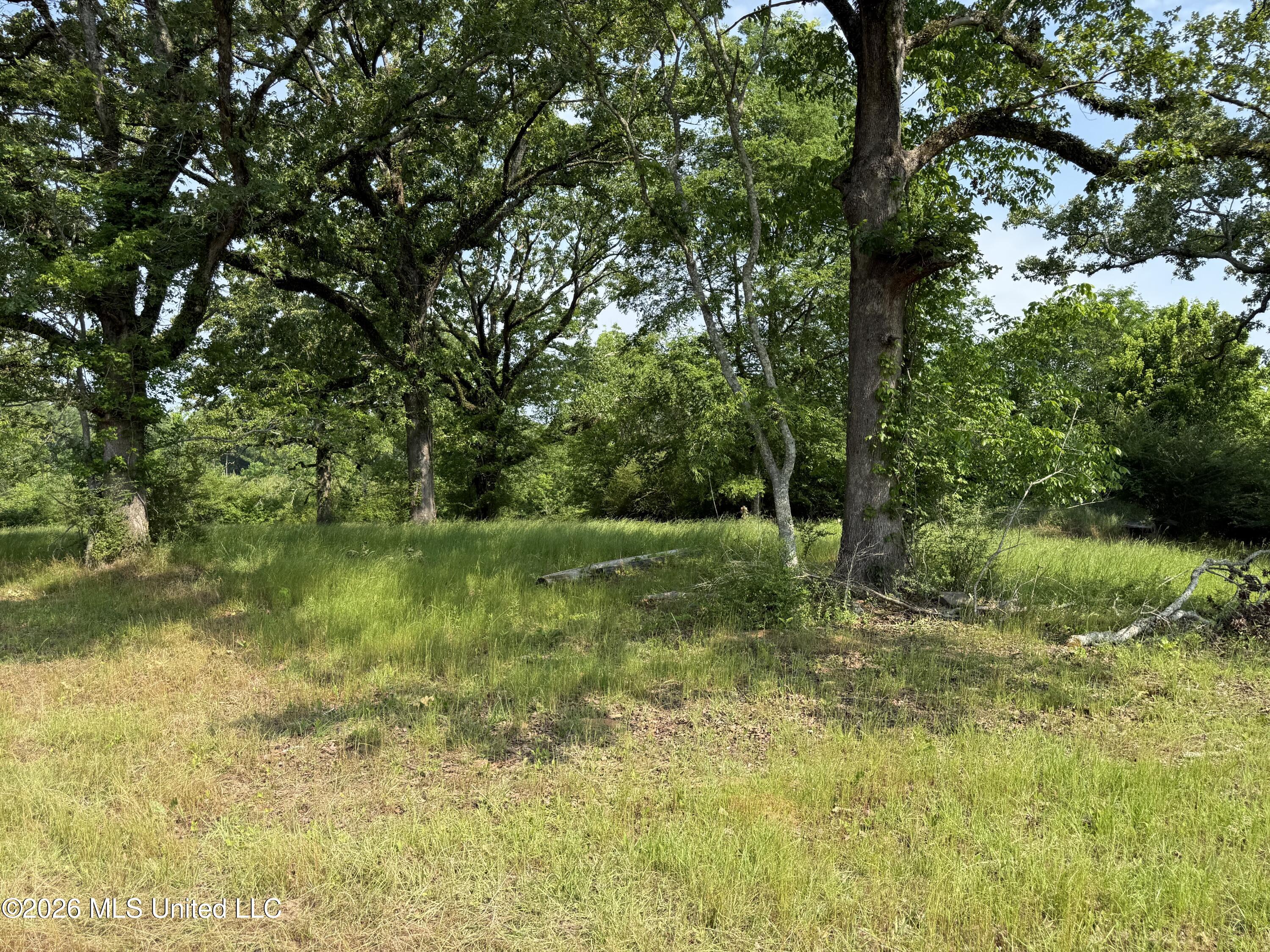 Scales Road Morton, MS 39117 - Photo 20 of 31 IMG_4665