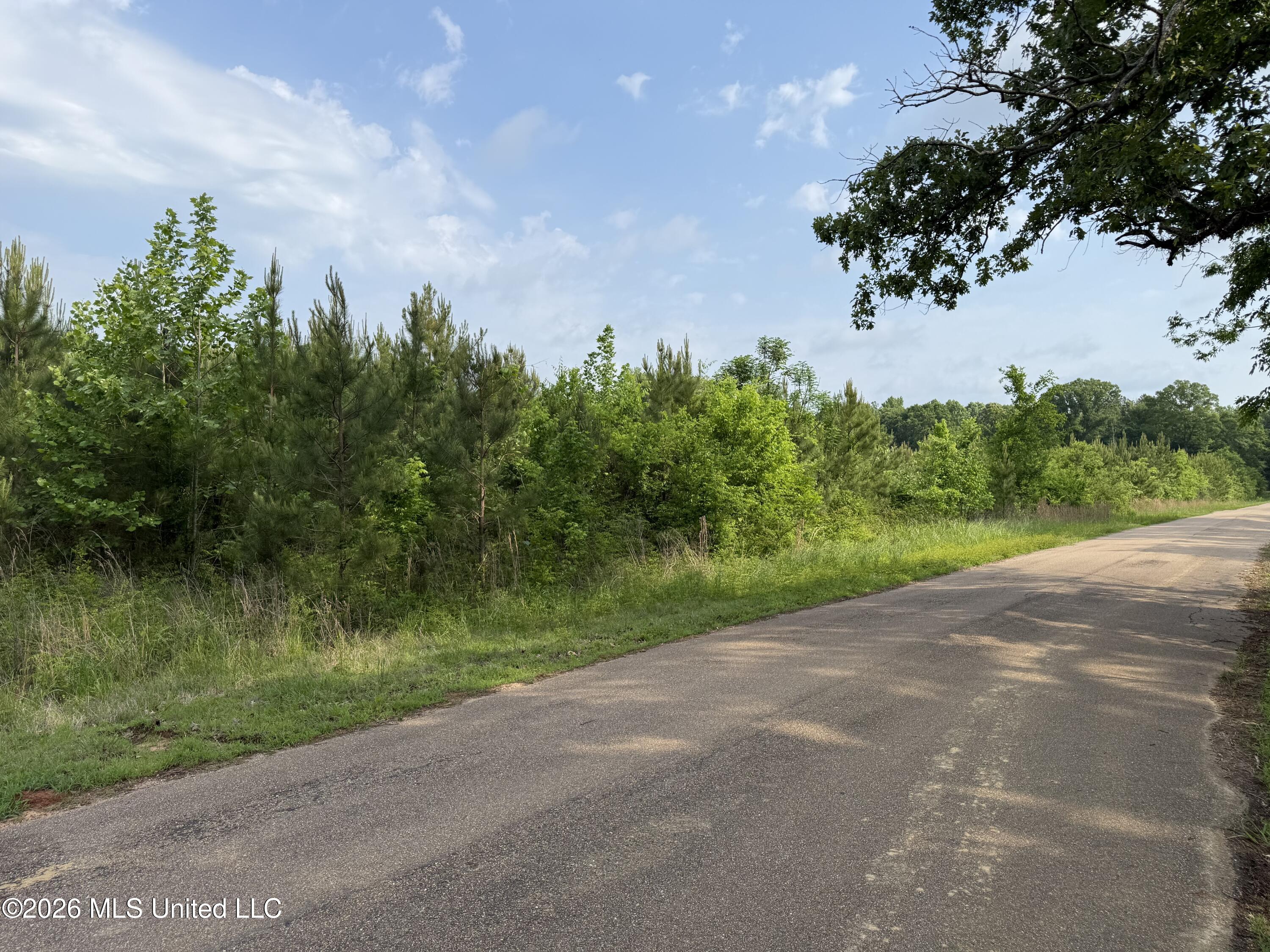 Scales Road Morton, MS 39117 - Photo 2 of 31 IMG_4633