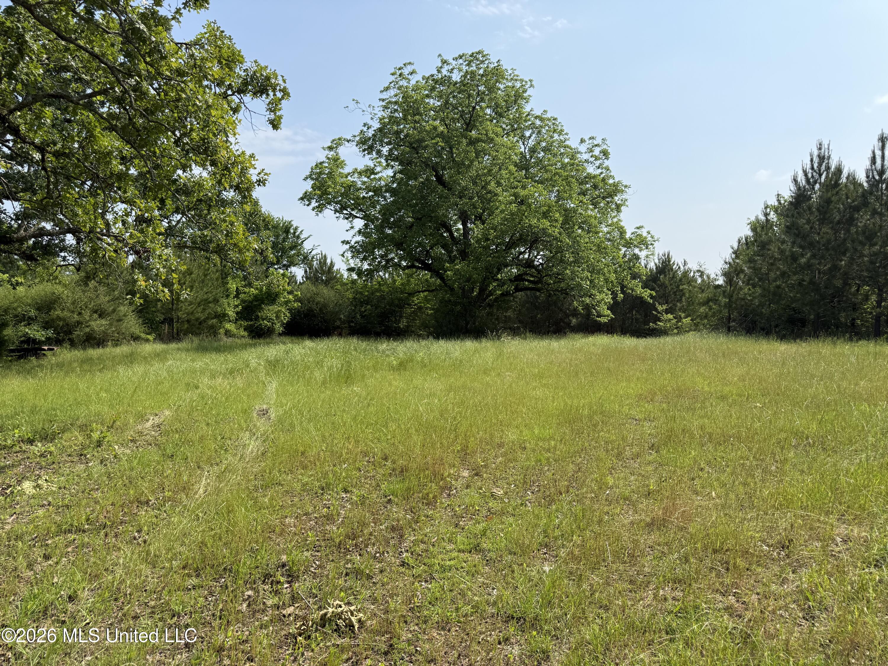 Scales Road Morton, MS 39117 - Photo 21 of 31 IMG_4666