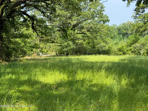 $1,336,000 | Scales Road, Morton, MS 39117