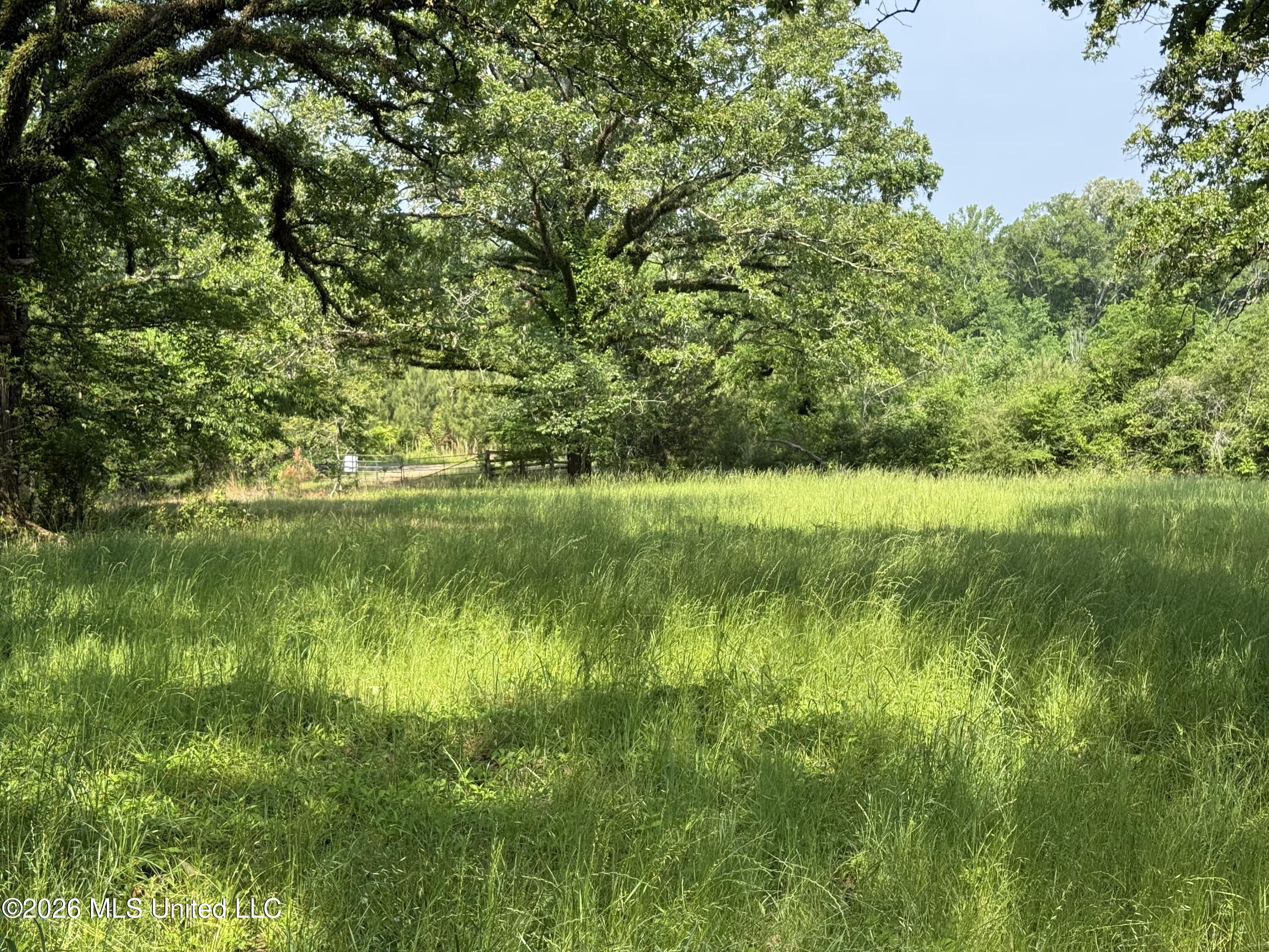 Scales Road Morton, MS 39117 - Photo 22 of 31 IMG_4669