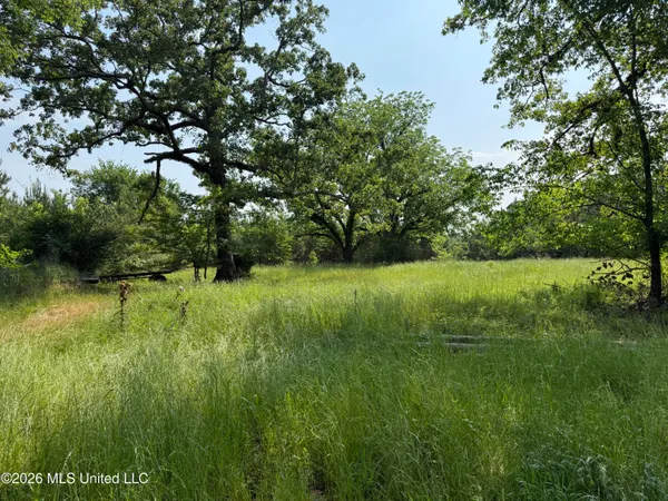 $1,336,000 | Scales Road, Morton, MS 39117