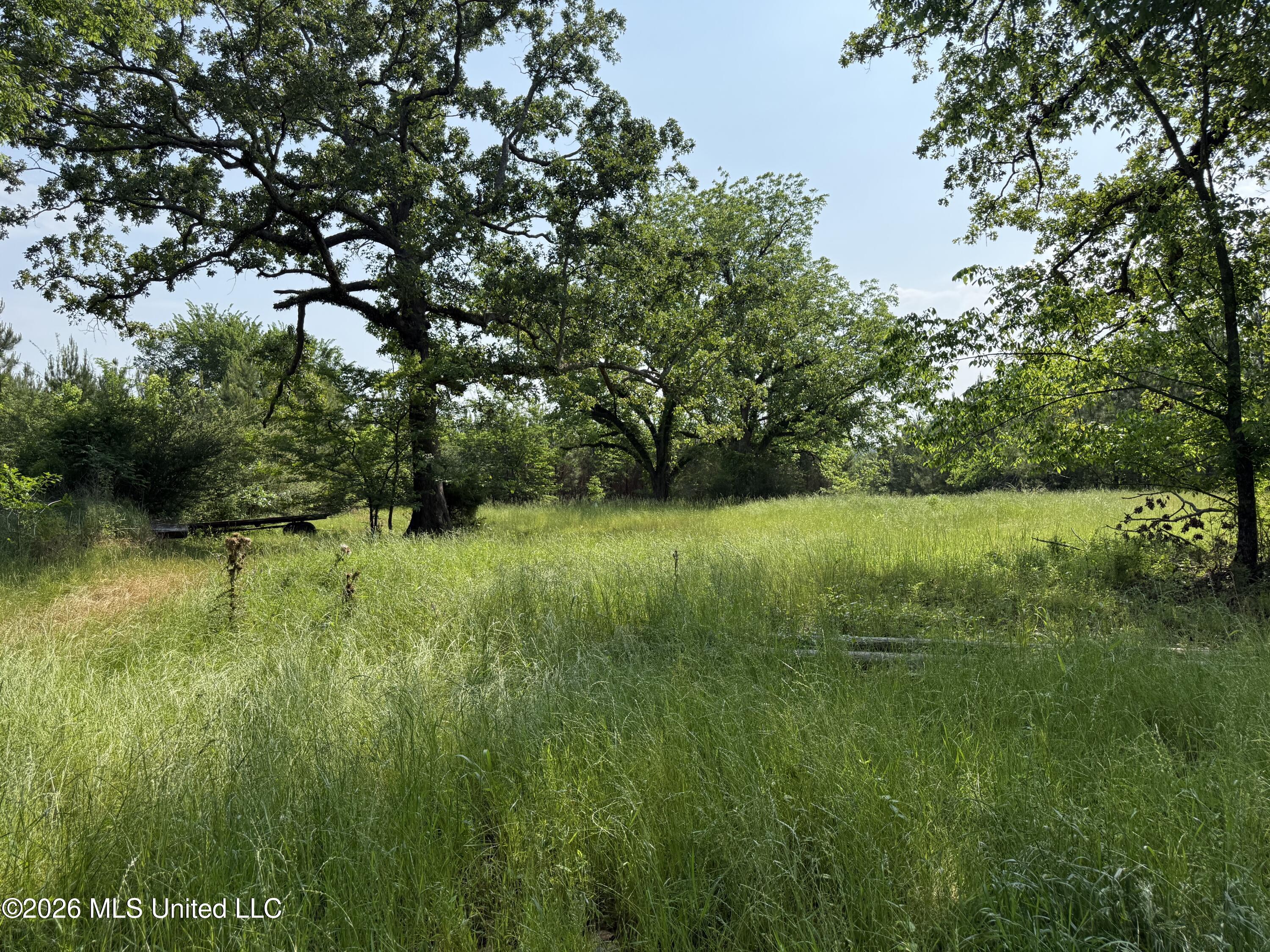 Scales Road Morton, MS 39117 - Photo 23 of 31 IMG_4670