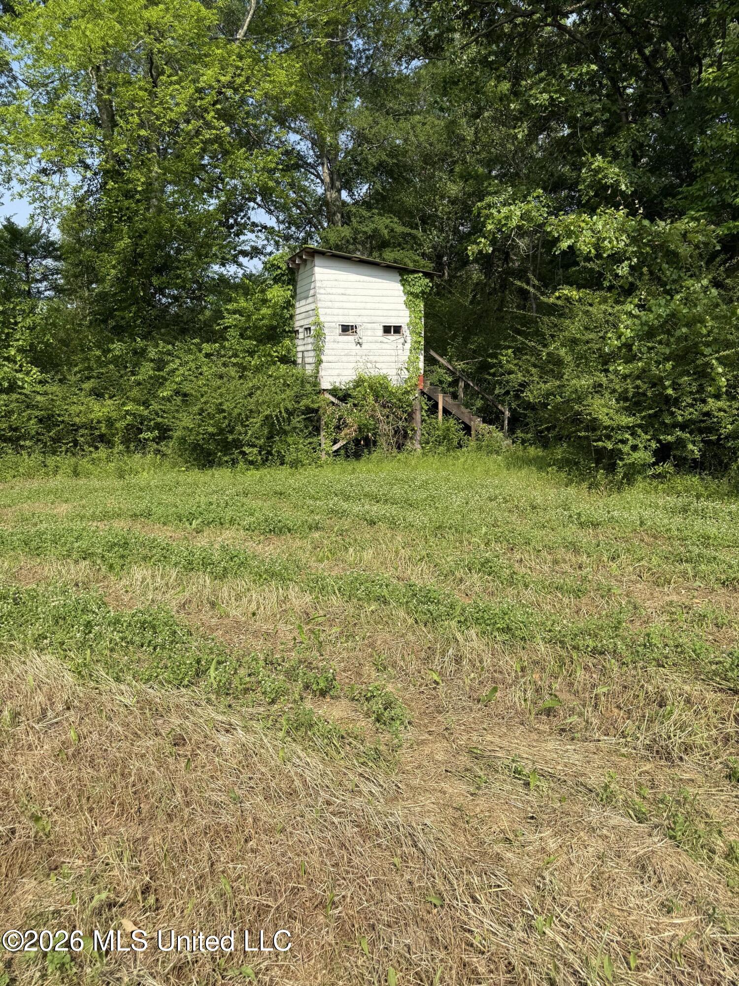 Scales Road Morton, MS 39117 - Photo 26 of 31 IMG_4658