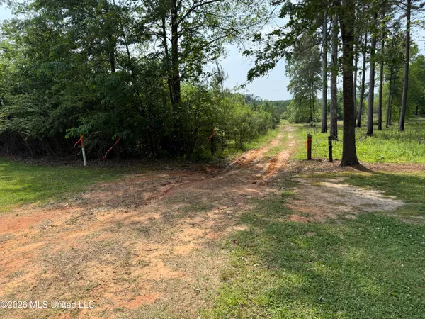 $1,336,000 | Scales Road, Morton, MS 39117