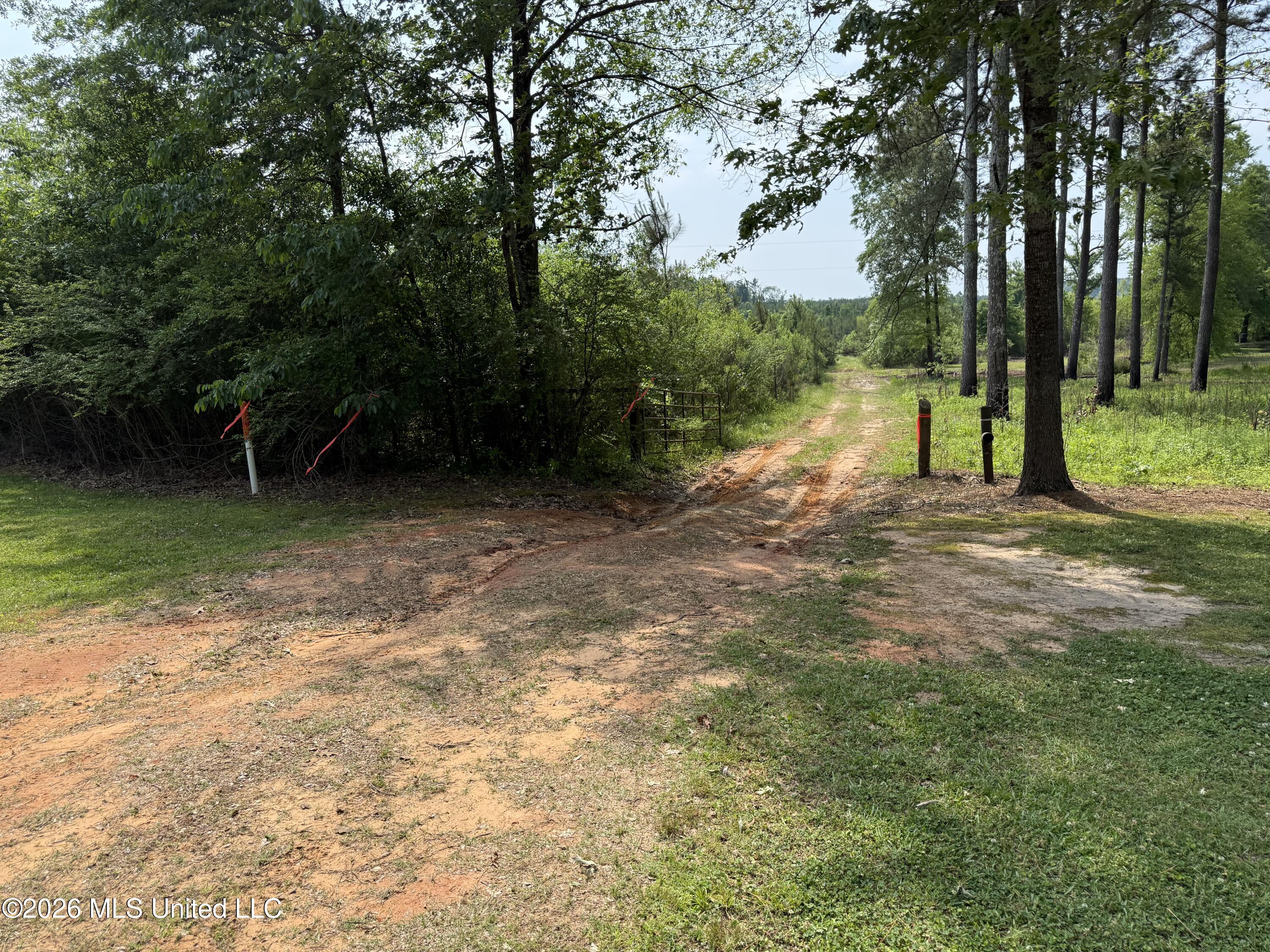Scales Road Morton, MS 39117 - Photo 3 of 31 IMG_4685