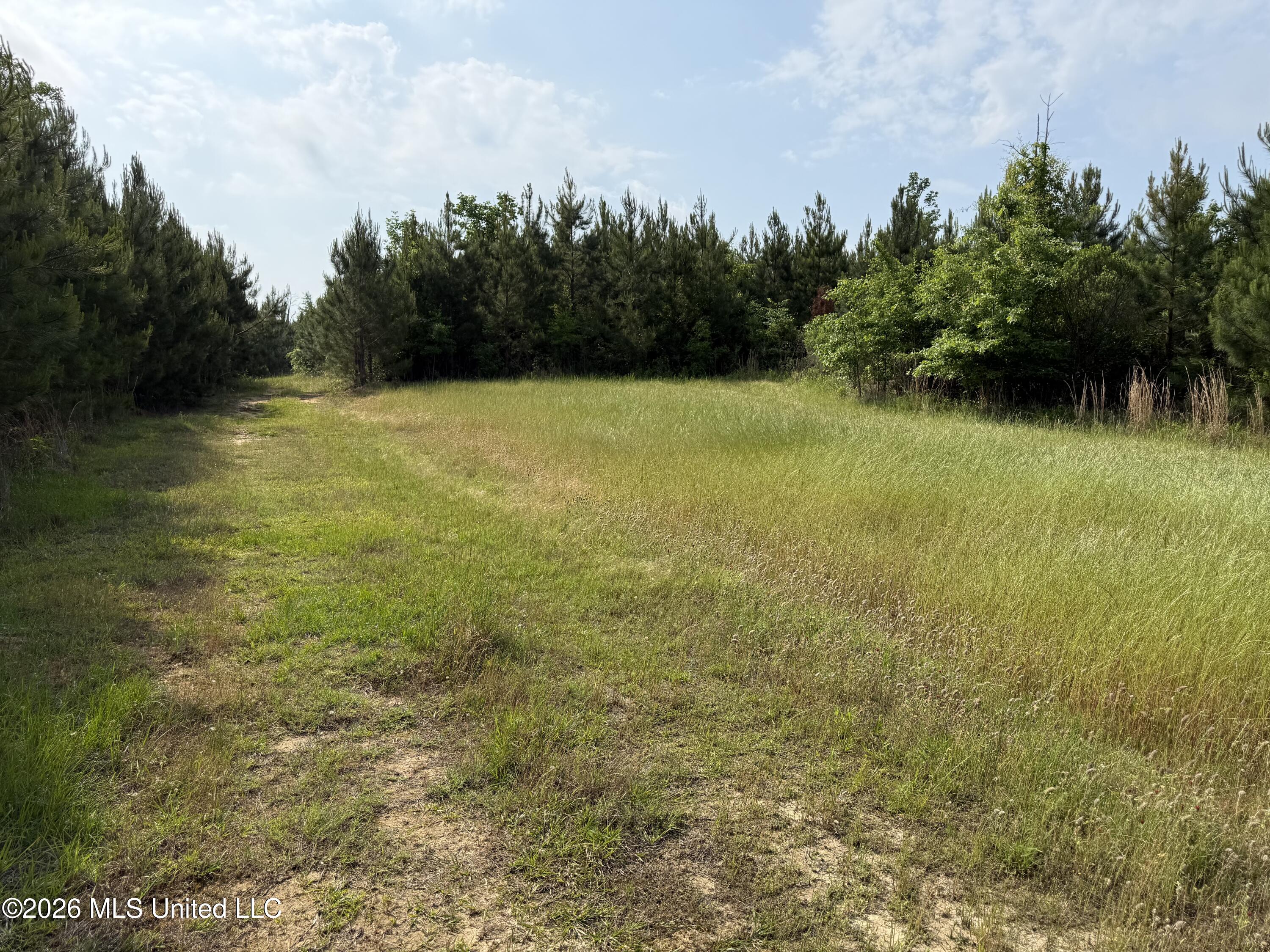 Scales Road Morton, MS 39117 - Photo 4 of 31 IMG_4642