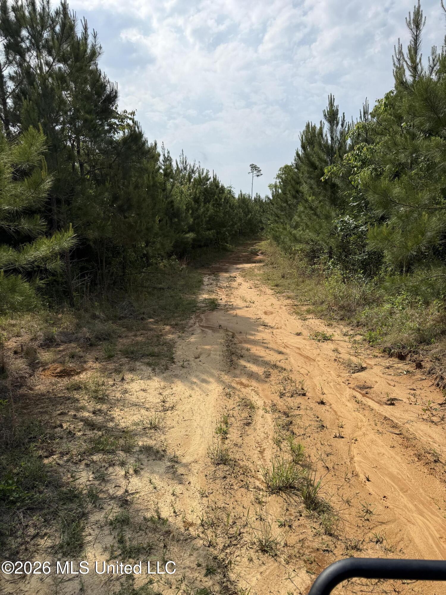 Scales Road Morton, MS 39117 - Photo 5 of 31 IMG_4655
