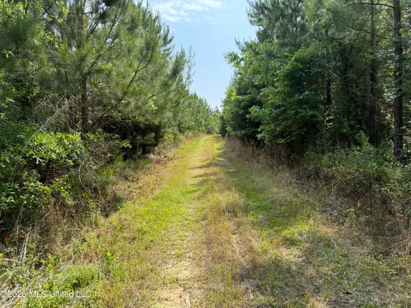 $1,336,000 | Scales Road, Morton, MS 39117