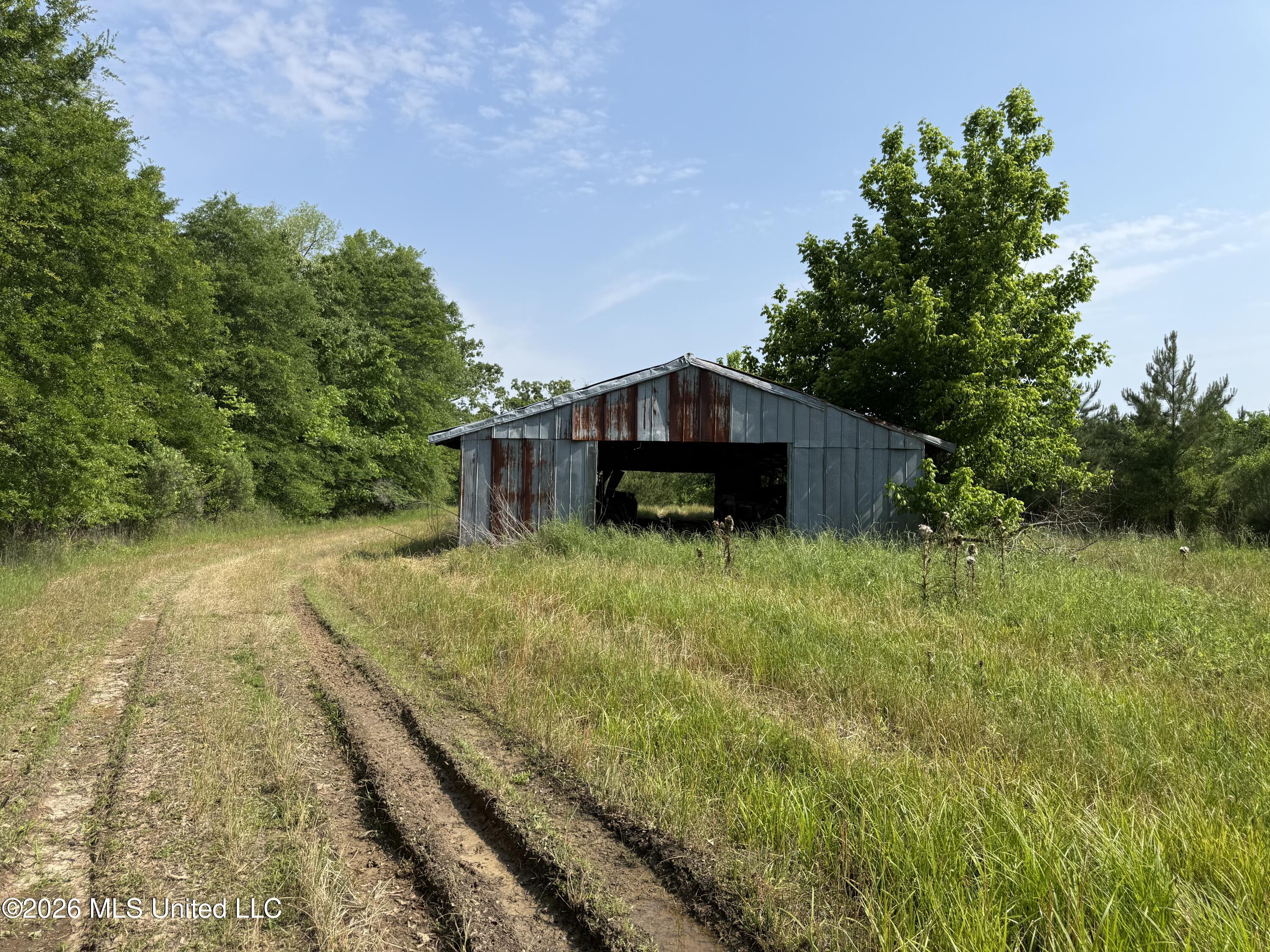 Scales Road Morton, MS 39117 - Photo 7 of 31 IMG_4664